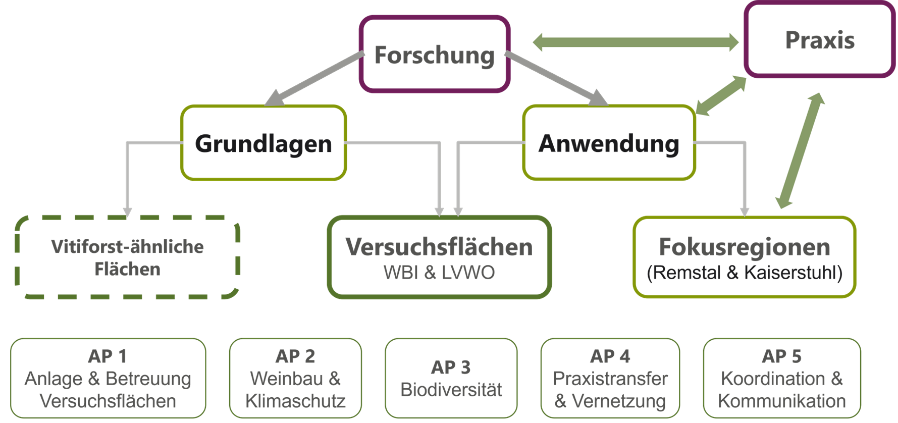 Die Projektstruktur von Vitiforst im Überblick. Die Projektstruktur von Vitiforst im Überblick.