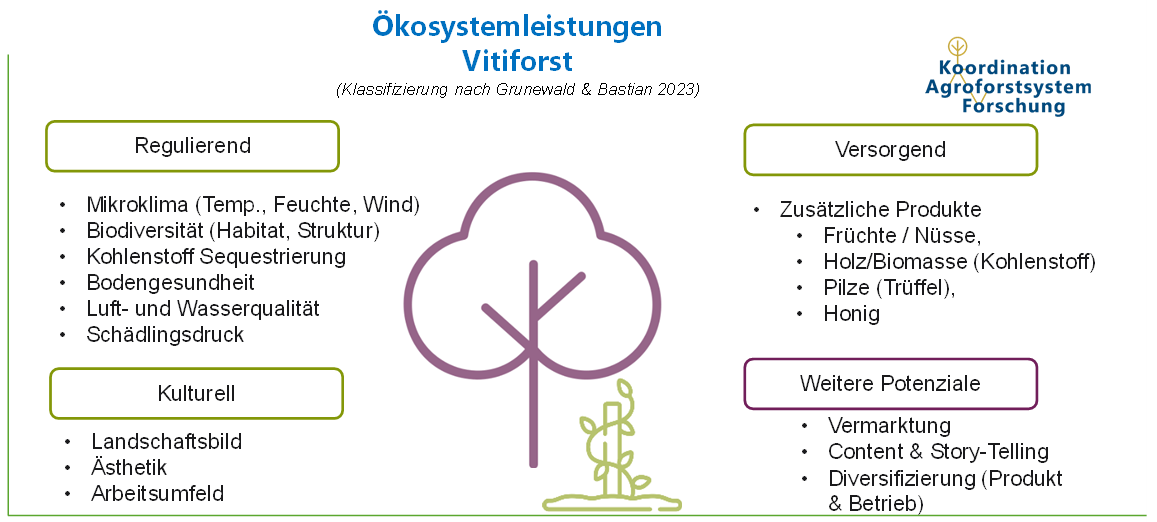Ökosystemleistungen durch Vitiforst-Systeme. Eine Abbildung, die Ökosystemleistungen durch Vitiforst-Systeme aufzeigt.